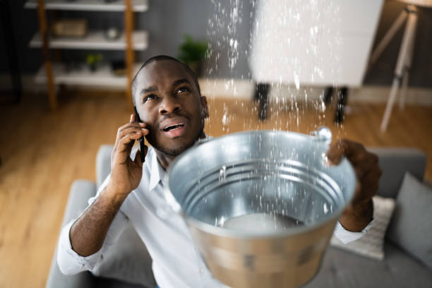 Best Water damage restoration insurance claims  in North Beach Haven, NJ