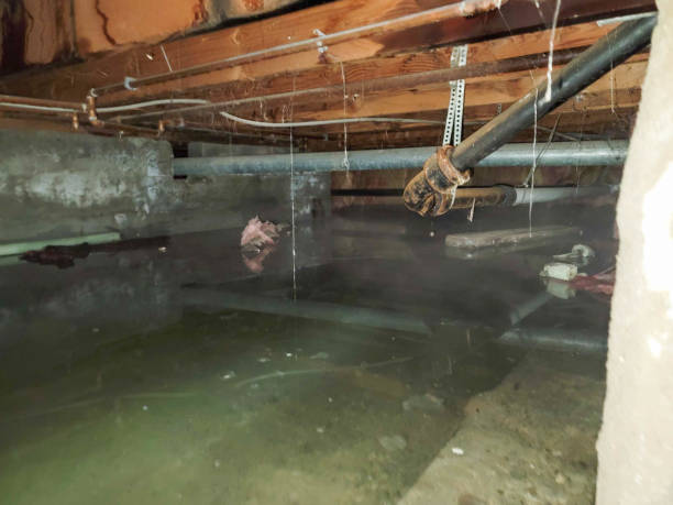 Best Water damage restoration near me  in North Beach Haven, NJ