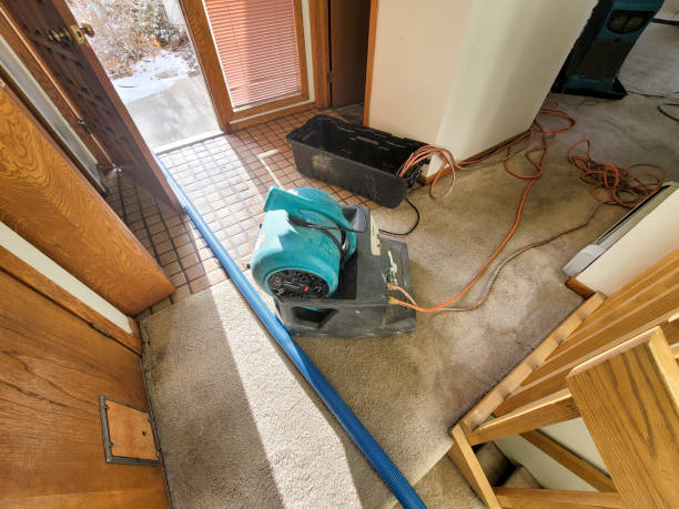 Best Professional water damage repair  in North Beach Haven, NJ