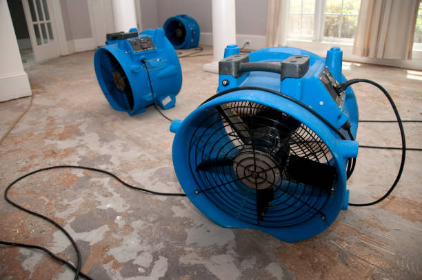 Best Water damage cleanup near me  in North Beach Haven, NJ