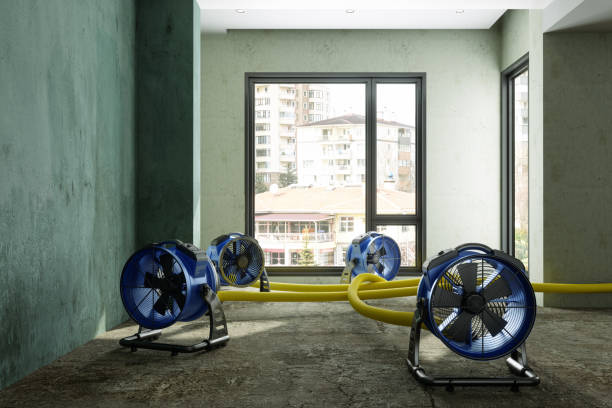 Water damage restoration process in NJ